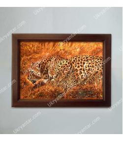 Плямистий леопард